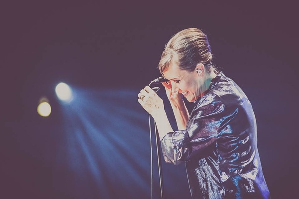 Gold Song #252: „Night&nbsp;Owls”