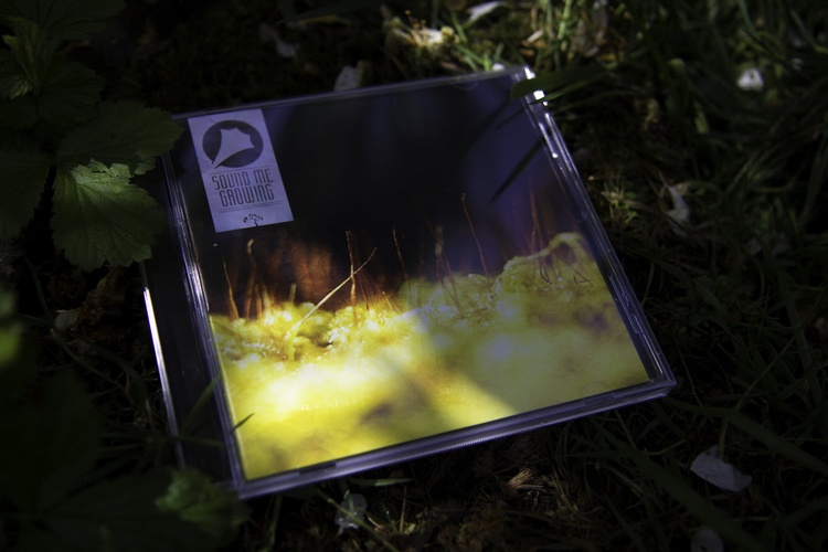 Trio Sound Me zapowiada płytę. Sprawdź jej&nbsp;promomix