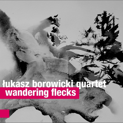 Recenzja: Łukasz Borowicki Quartet „Wandering Flecks”