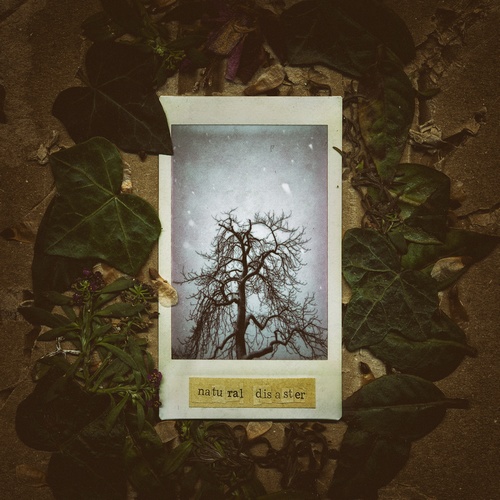 Recenzja: Palmer Eldritch „Natural&nbsp;Disaster”