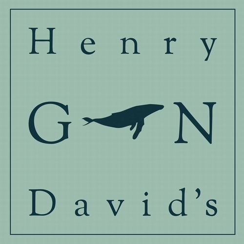 Recenzja: Henry David’s Gun „Black Disease&nbsp;SP”