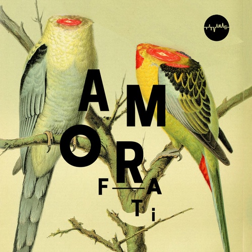 Recenzja: Tatvamasi „Amor&nbsp;Fati”